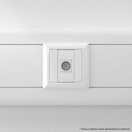 4400501 | Розетка TV оконечная модульная, "Avanti", "Белое облако", 1 модуль-5