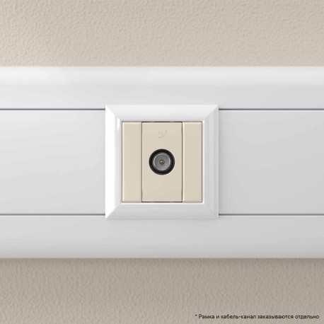 4405511 | Розетка TV проходная модульная, "Avanti", "Ванильная дымка", 1 модуль-5