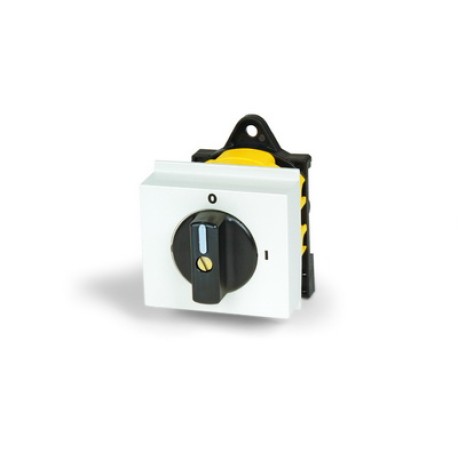 AS1204D-2701 | Кулачк. перекл. с ручкой. AS1204D-2701