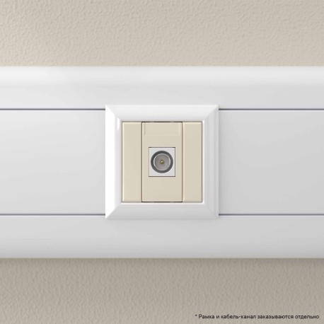 4405501 | Розетка TV оконечная модульная, "Avanti", "Ванильная дымка", 1 модуль-5