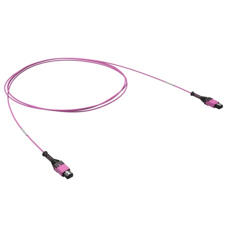 RNPCFF124B02 | Патчкорд 12ОВ 50/125 OM4, 1xMTP PRO (12)/1xMTP PRO(12), 2м