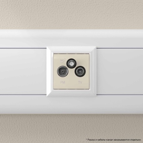 4405532 | Розетка TV-FM-SAT модульная, "Avanti", "Ванильная дымка", 2 модуля-5