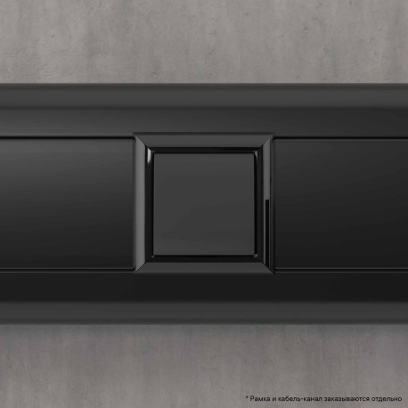 4412982 | Вывод кабеля модульный Avanti, Черный матовый, 2 модуля-5