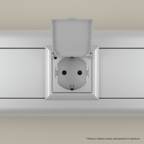 4404012 | Розетка с крышкой модульная, 2P+E, с з/ш, "Avanti", "Закаленная сталь",2 модуля-5