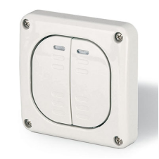 Переключатель однополюсный, двухклавишный