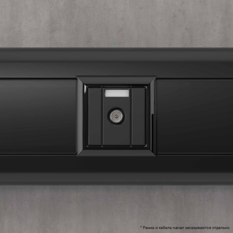 4412511 | Розетка TV проходная модульная, Avanti, Черный матовый, 1 модуль-5