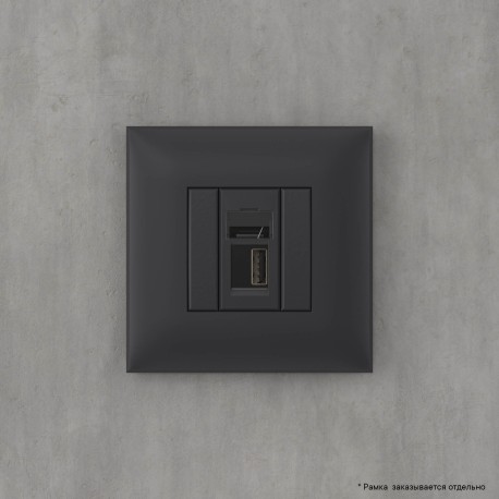 4412403 | USB 2.0 розетка одинарная в стену, тип А-А, Avanti, Черный матовый-5