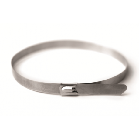 27420 | Хомут из нержавеющей стали AISI 304 13х350