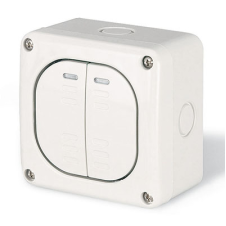 Выключатель однополюсный, двухклавишный, настенный