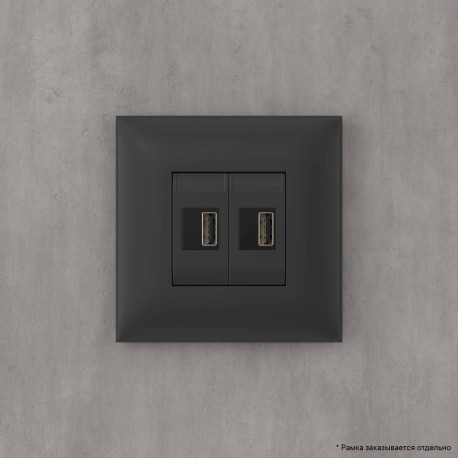 4412543 | USB зарядное устройство в стену, Avanti, Черный матовый-5