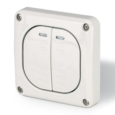 DIS1373022 | Выключатель однополюсный, двухклавишный