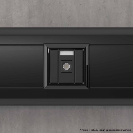 4412501 | Розетка TV одиночная модульная, Avanti, Черный матовый, 1 модуль-5