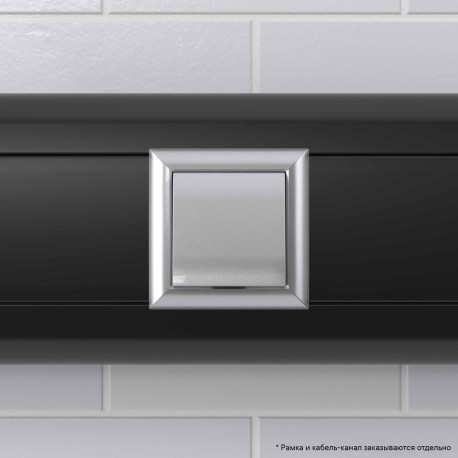 4404982 | Вывод кабеля модульный "Avanti", "Закаленная сталь", 2 модуля-5