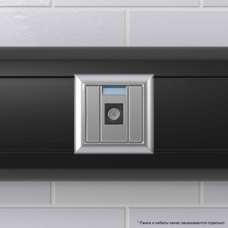 4404501 | Розетка TV одиночная модульная,  "Avanti", "Закаленная сталь", 1 модуль-5