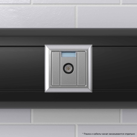 4404511 | Розетка ТВ проходная Закаленная сталь Avanti, 1 мод-5