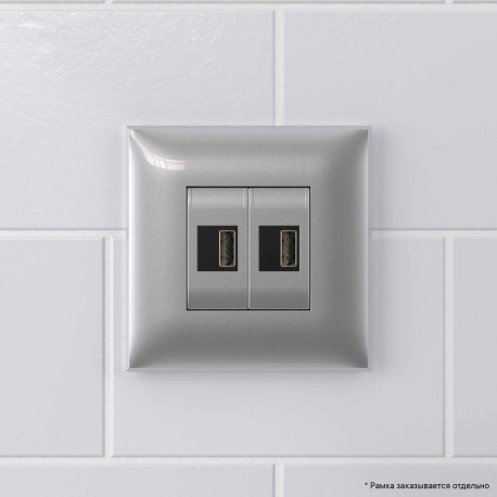 4404543 | USB зарядное устройство в стену, "Avanti", "Закаленная сталь"-5