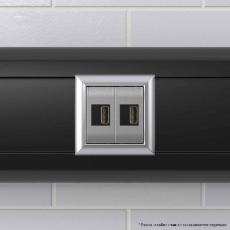 4404542 | USB зарядное устройство модульное,  "Avanti", "Закаленная сталь", 2модуля-5