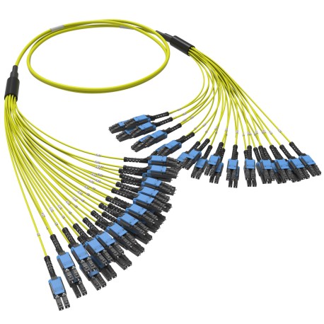 RNFLL48S40 | Оптическая разветвительная сборка 48ОВ 9/125 OS2, 24xLC-UPC Duplex Uniboot/24xLC-UPC Duplex Uniboot, 40м