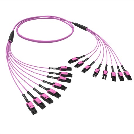 RNFLL16430 | Оптическая разветвительная сборка 16 ОВ, 50/125 OM4, 8xLC-UPC Duplex Uniboot/8xLC-UPC Duplex Uniboot, тип полярности - прямая (Tx-->Rx), 30 м