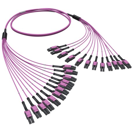 RNFLL24435 | Оптическая разветвительная сборка 24ОВ 50/125 OM4, 12хLC Duplex Uniboot/12хLC Duplex Uniboot, 35м